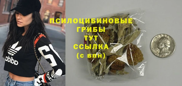 спайс Аркадак