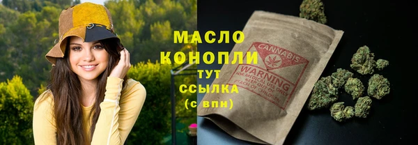 индика Арсеньев