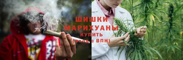 индика Арсеньев