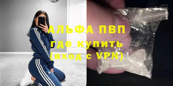 индика Арсеньев