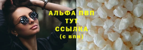 индика Арсеньев