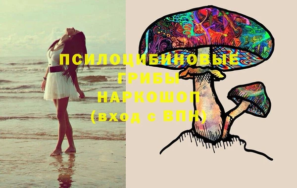 спайс Аркадак