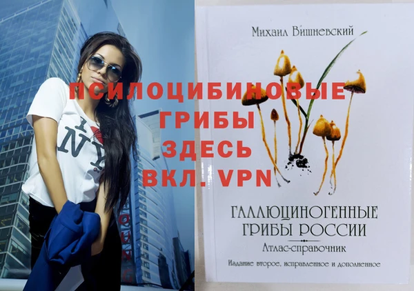 спайс Аркадак