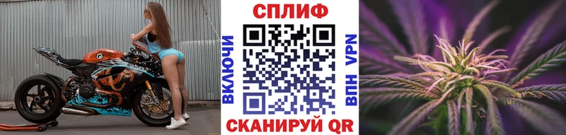 Каннабис MAZAR  как найти   Островной 